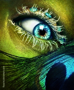 Peacock eye in love - ftourini